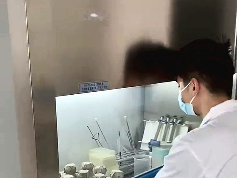 Technician checking samples at the laboratory bench